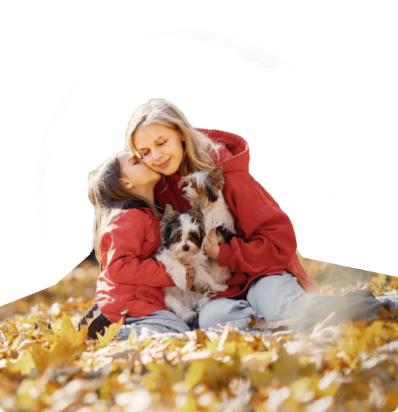 �������ʹ���-��Ӫ��ȫ,����һ·�ɳ�