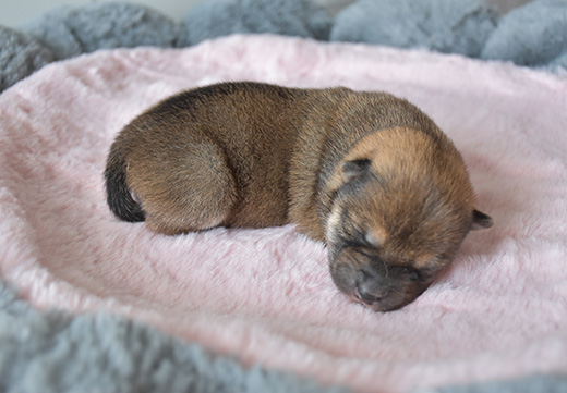 �������ʹ���-��Ӫ��ȫ,����һ·�ɳ�