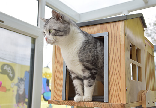 �������ʹ���-��Ӫ��ȫ,����һ·�ɳ�