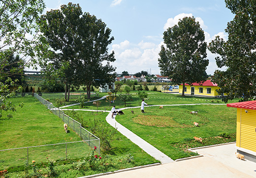 �������ʹ���-��Ӫ��ȫ,����һ·�ɳ�