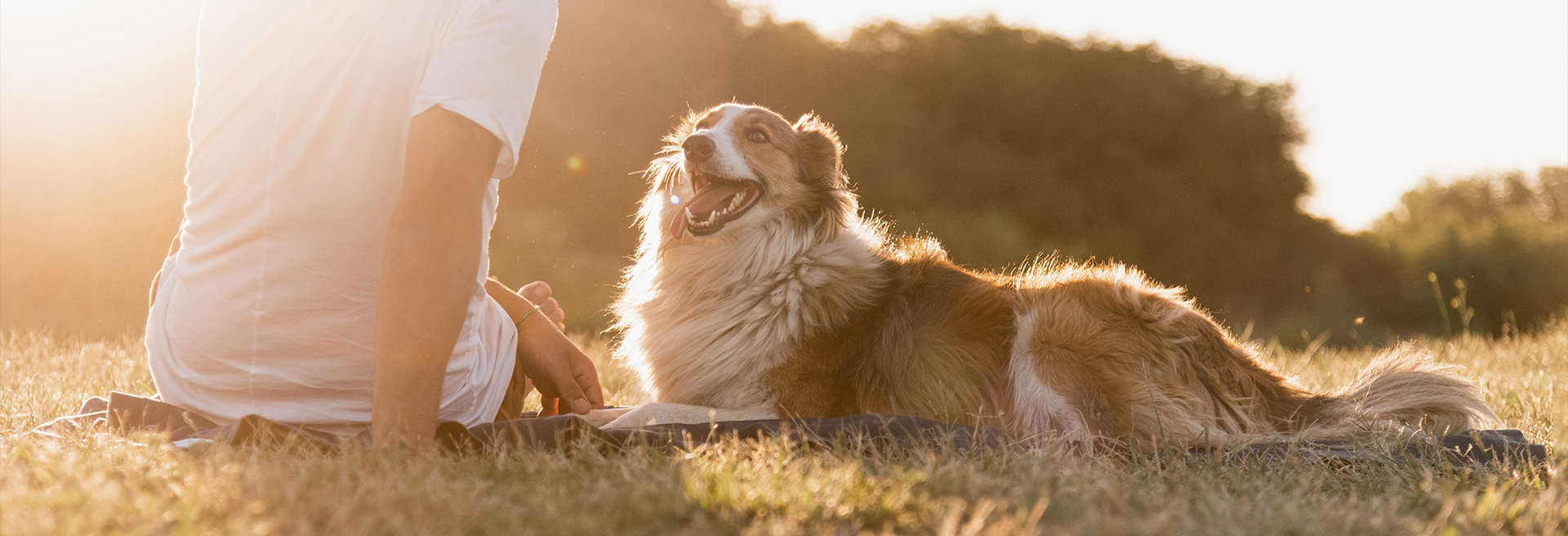 �������ʹ���-��Ӫ��ȫ,����һ·�ɳ�