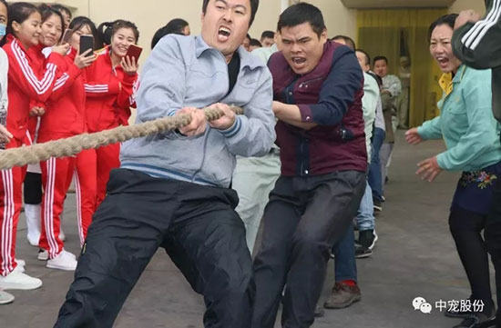 d9e24e2dea2f4681bcdf8ccc5275bb3a