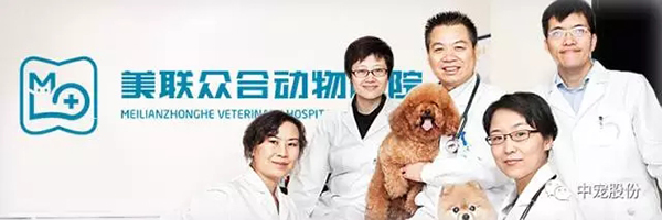 b10b16b1390744e39399def1e9df559e