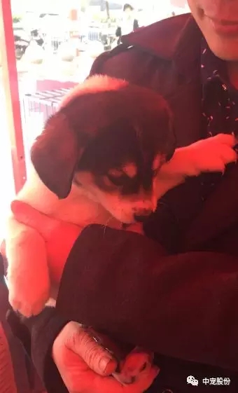 f36a4bde60ed43648b3c2efb522aad3c