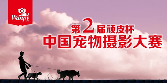 �������ʹ���-��Ӫ��ȫ,����һ·�ɳ�