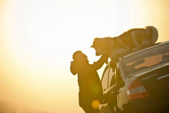 038ca3bd85c54b3496ff6f3a13b5dbc0