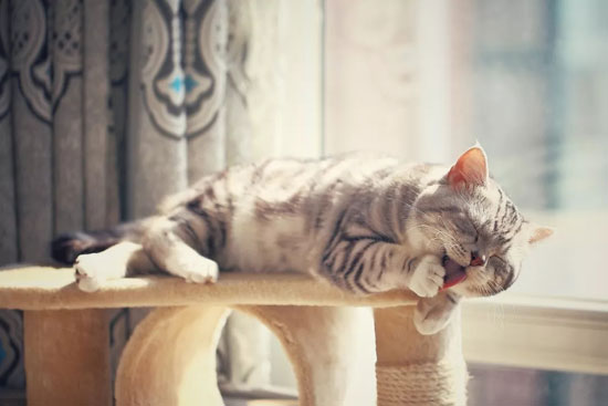 07ff0f40c85b47b297a69c5bfa40343a