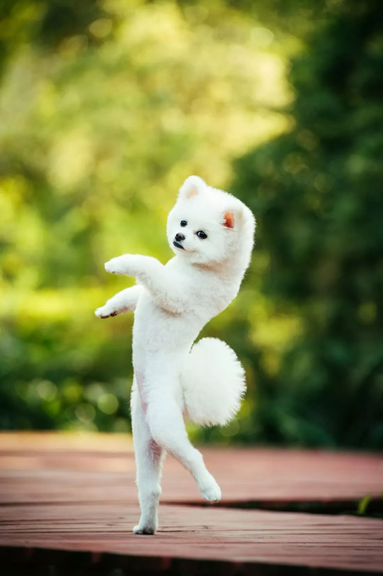 59123c84bf5a4f51bc393d23e144ddbd