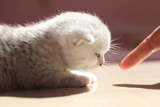 6aef10ab826f41b684cf41edf808ab28