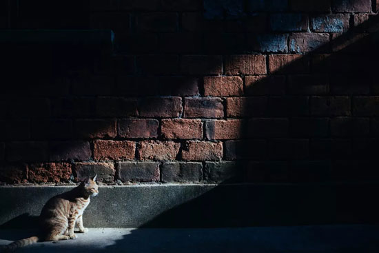 9765723535fa4aef87450e4418a3ba91