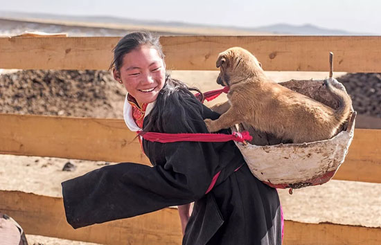 ab4eabf0fe944f9a9a2b8095be2394ef