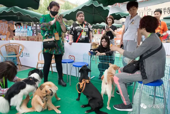 c98fb79d0d3e49cd845b0b1987622b1a