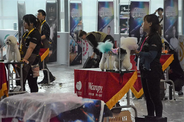 57f171eba1b6485493fe912b8770d039