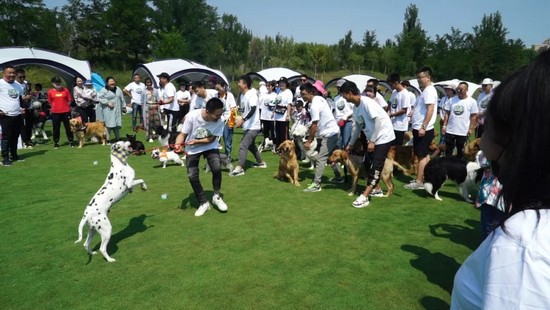 c14f1b41b5c849cbb98ac6dd46834e20