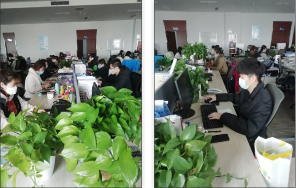 62a18cfc5f354a11aa7db2c200f90bf4