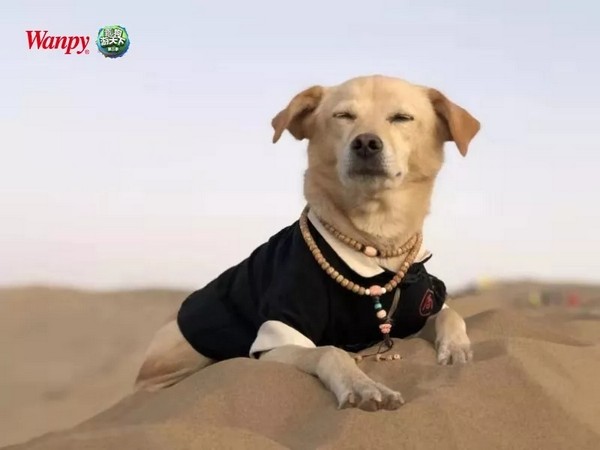 87183fa8a4b7439f928000247861b9ef