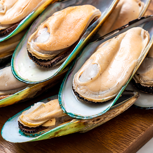 �������ʹ���-��Ӫ��ȫ,����һ·�ɳ�