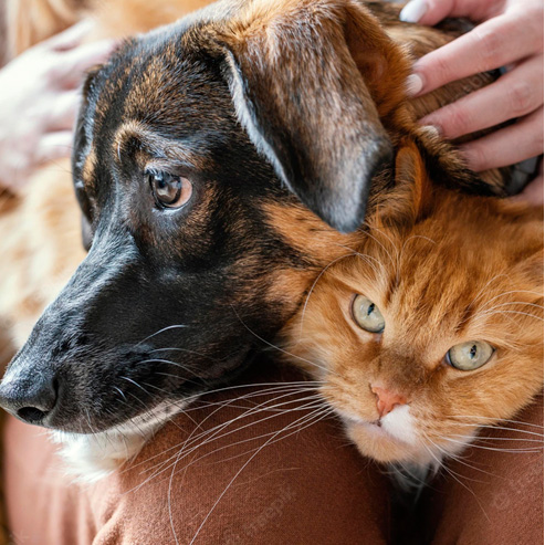 �������ʹ���-��Ӫ��ȫ,����һ·�ɳ�