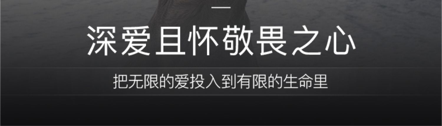 c8c08ac461af46b0b94ba086da3275f9