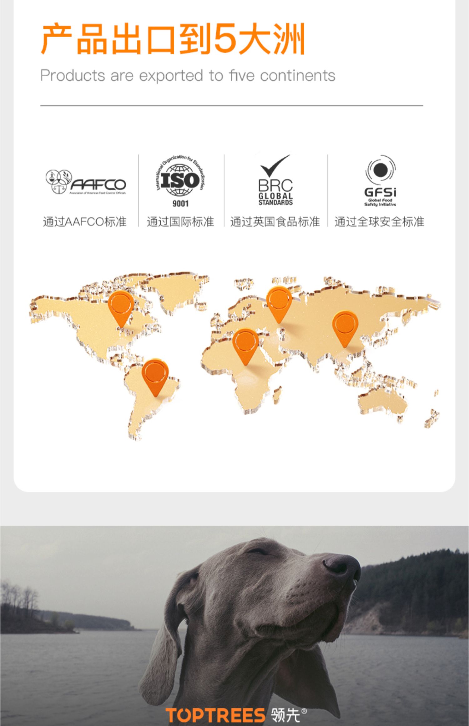 e2b0dac42fa34a4a89163a103c1dae57