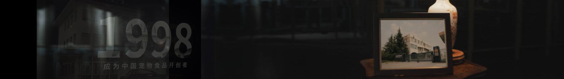 ��չ����