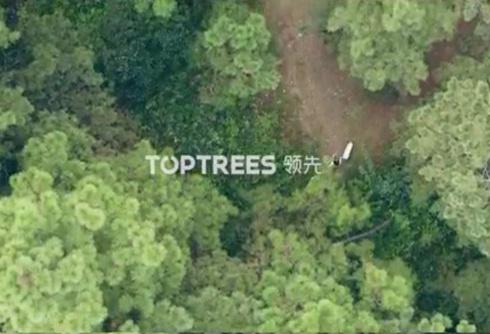 �������ʹ���-��Ӫ��ȫ,����һ·�ɳ�