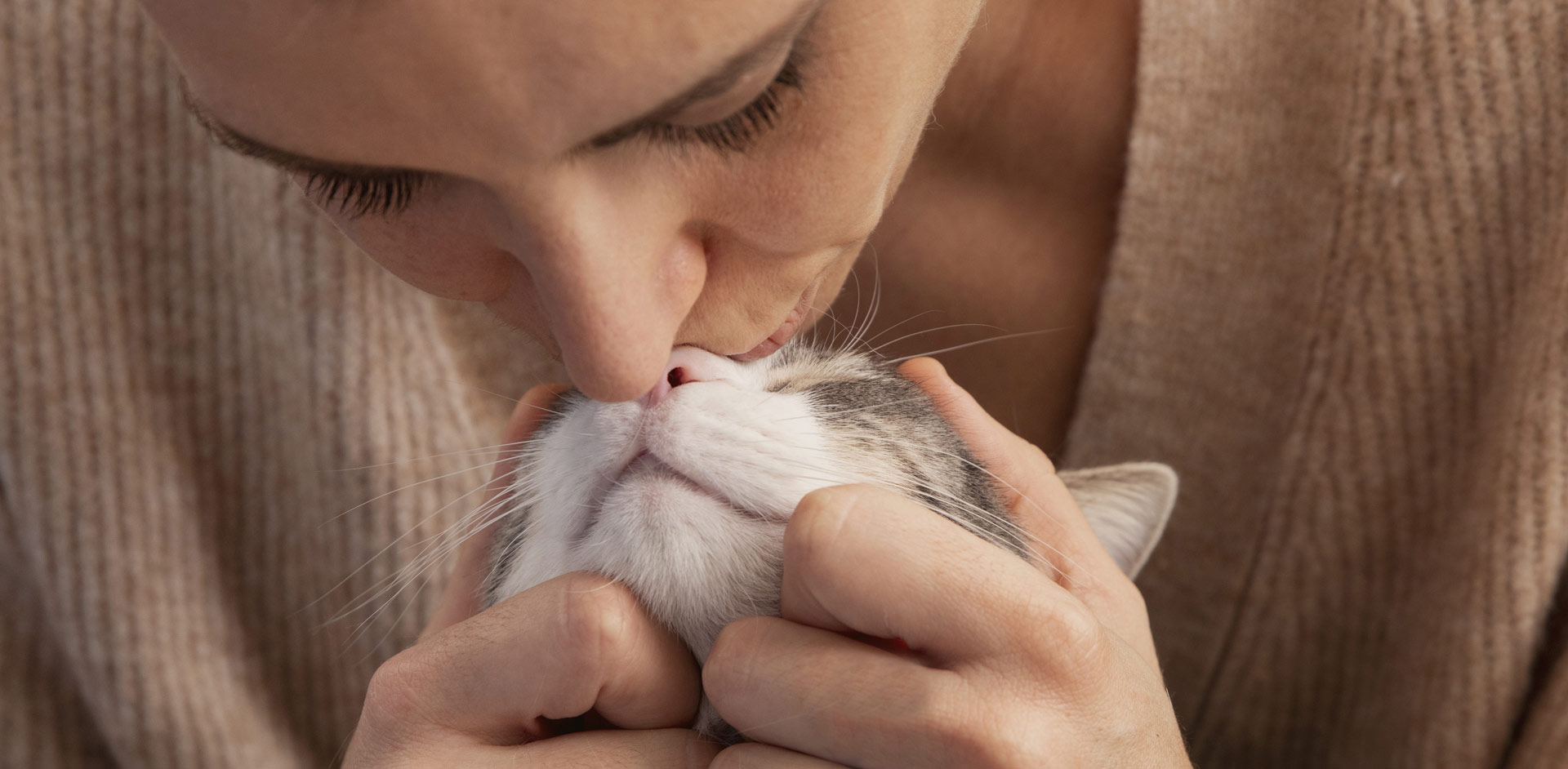 �������ʹ���ʳƷ�ɷ����޹�˾