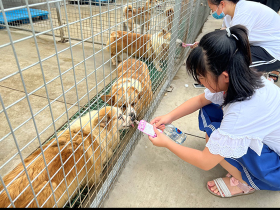 �������ʹ���-��Ӫ��ȫ,����һ·�ɳ�