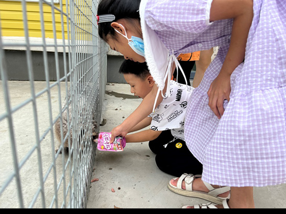 �������ʹ���-��Ӫ��ȫ,����һ·�ɳ�