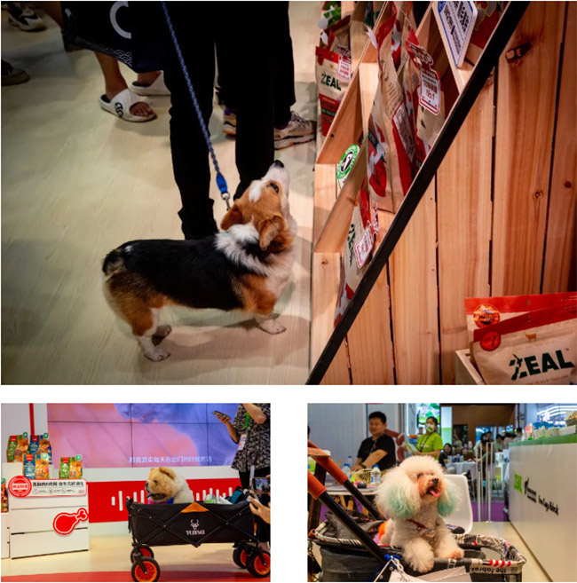 0009c276614e42aa99e4fec3fa6ad63e