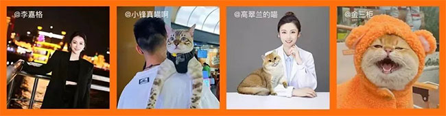 e87ec35888ef44f2bd577fbd352a1dbf