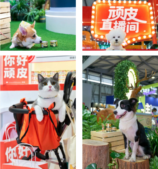 cf9ceccad5b641289c6b3d74a4e22b6f