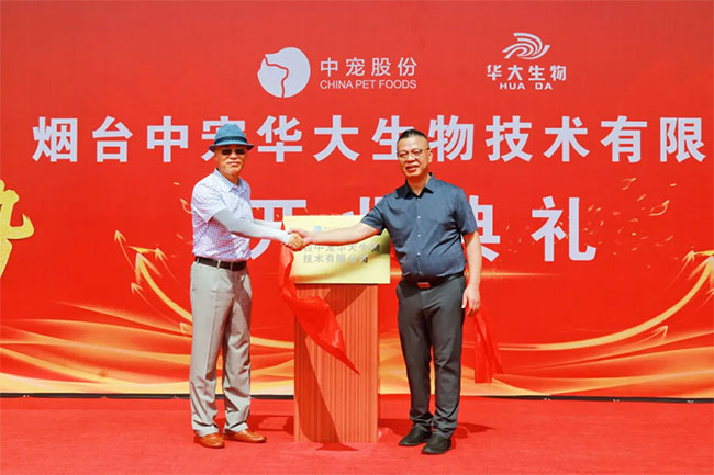 9622a2a49574444c9a0fb772c3a3a2d5