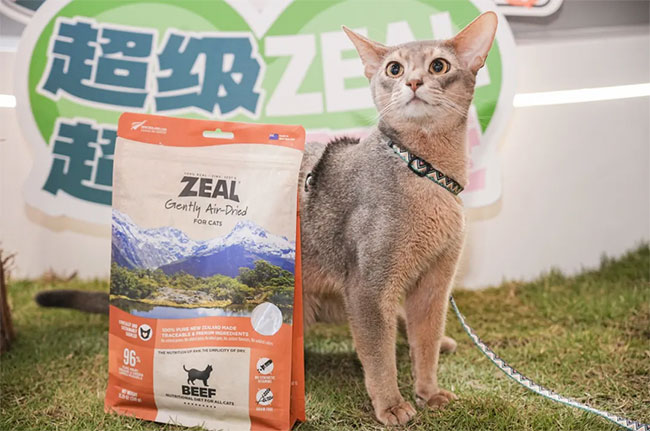 7142ba68b302498e884142b34ce312ab