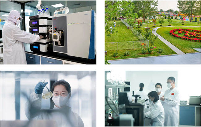 69b61e53012a4b248d4bc56929388cfe