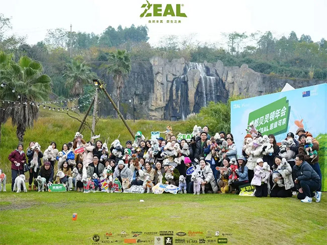 06bf21e89c7f4556b61f2397176f08fe